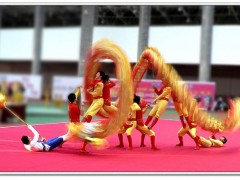 供应提供乐队舞蹈杂技少林武术舞龙舞狮，上海乐队，上海舞蹈，上海杂技，上海武术，上海舞龙舞狮