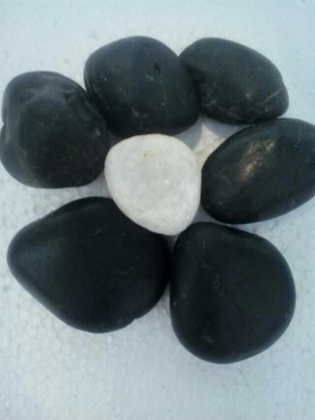 厂家直销白色鹅卵石，3-5厘米白色鹅卵石多少钱一吨图片