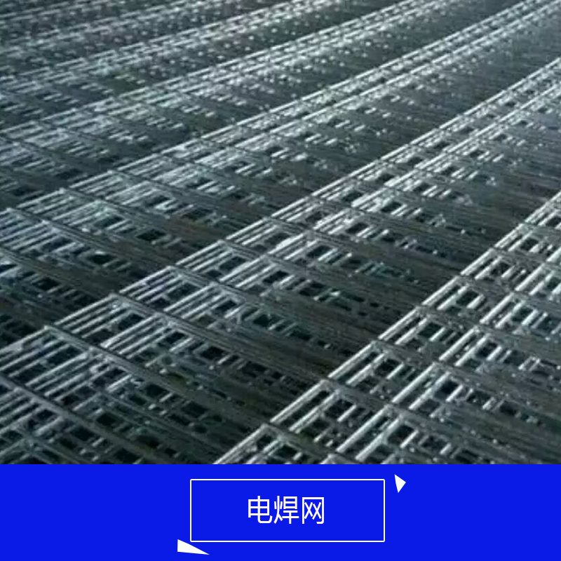 供应电焊网供应商  不锈钢电焊网 热度电焊网 电焊网厂家直销