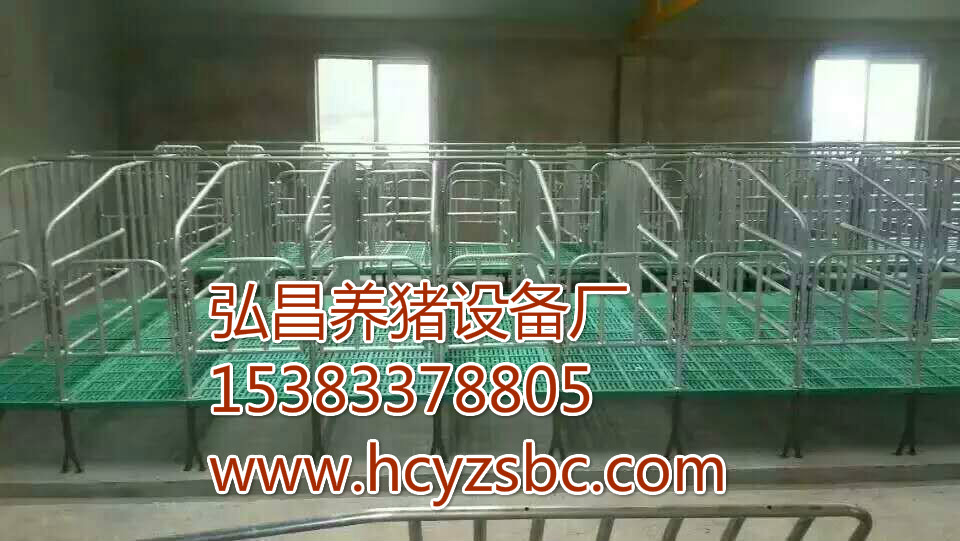 供应各种养猪设备母猪产床限位栏保育床