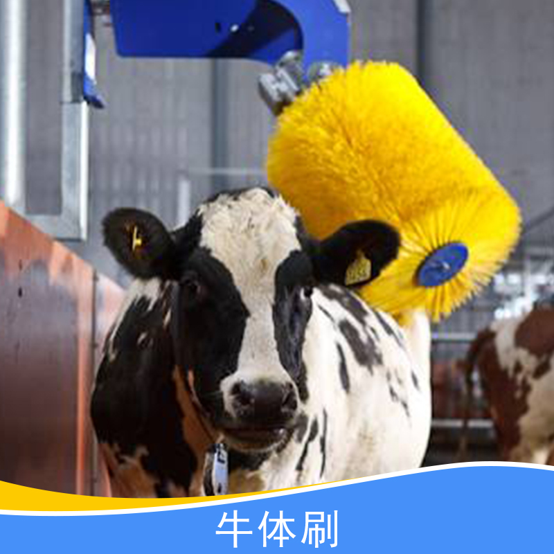 供应用于畜牧养殖机械的牛体刷、全自动牛体刷|按摩牛体刷、牛体清洁刷|蹭痒毛刷