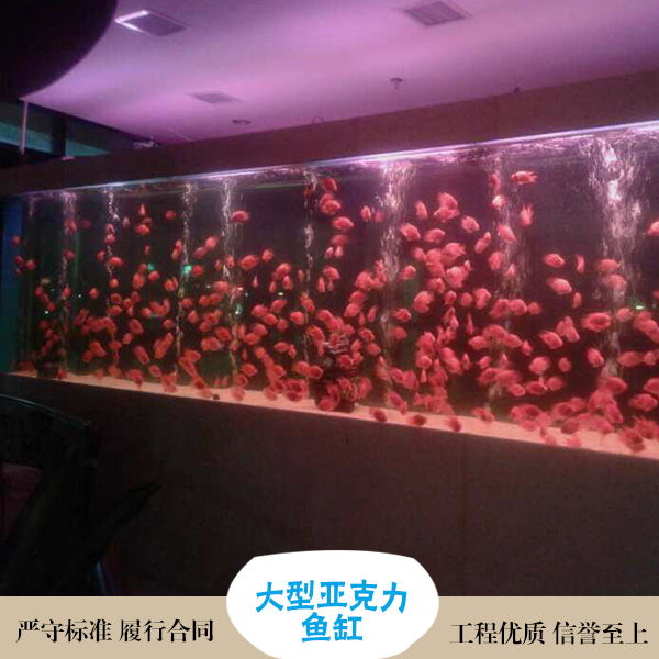 上海专业订制水母鱼缸 嵌入式隔断鱼缸制作 亚克力鱼缸珊瑚鱼缸图片