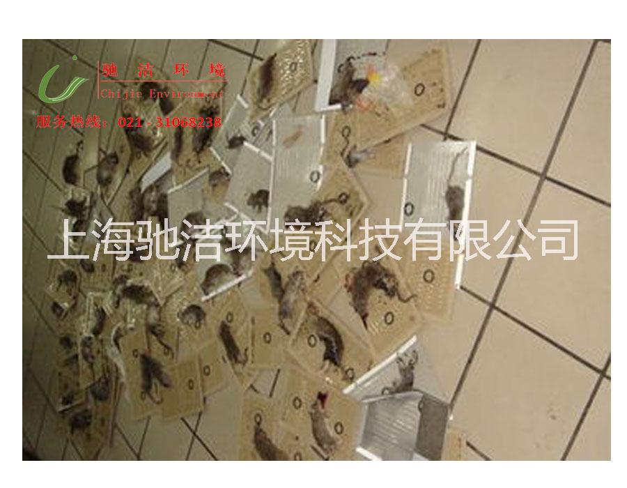 供应上海除虫灭鼠专业公司，上海除虫灭鼠专业公司电话，上海除虫灭鼠专业公司热线
