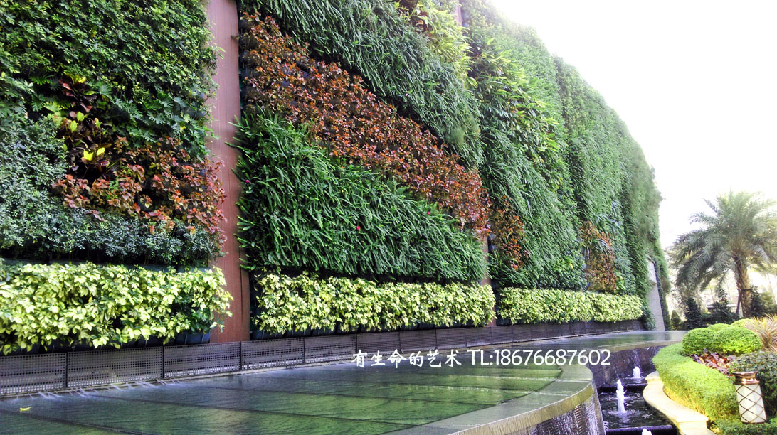 深圳垂直绿化植物墙批发