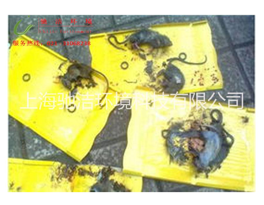 供应上海灭鼠除虫，上海灭鼠除虫公司，上海灭鼠除虫公司电话