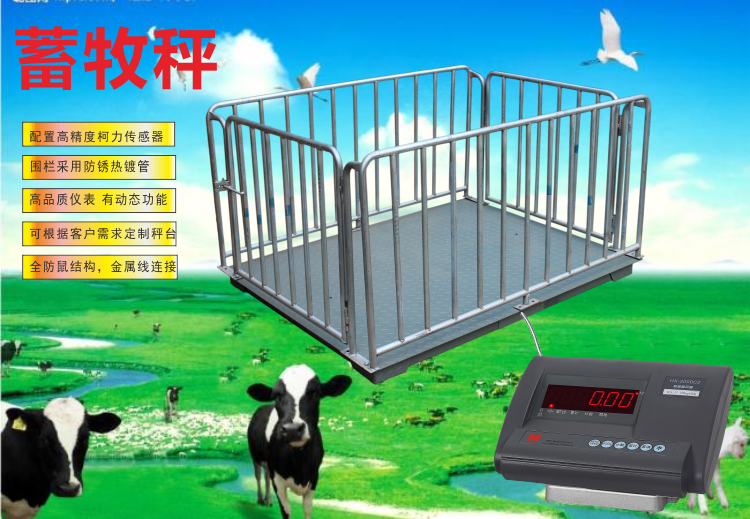 供应贵州猪笼秤价格 1吨畜牧秤厂家养殖场电子磅养猪场地磅批发