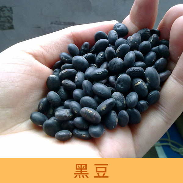 供应黑豆 粮油作物批发 乌豆厂家供应 有机黑豆价格图片