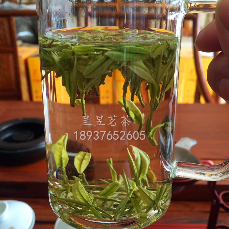 新茶上市 2016年明前特级安吉供应用于自饮送礼佳品的新茶上市 2016年明前特级安吉  绿茶安吉白茶  哪里有安吉白茶供应商  厂家直销安吉白茶