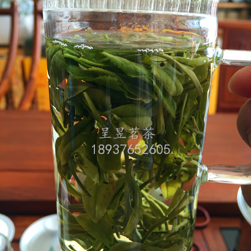 郑州市新茶上市 2016年明前特级安吉厂家供应用于自饮送礼佳品的新茶上市 2016年明前特级安吉  绿茶安吉白茶  哪里有安吉白茶供应商  厂家直销安吉白茶