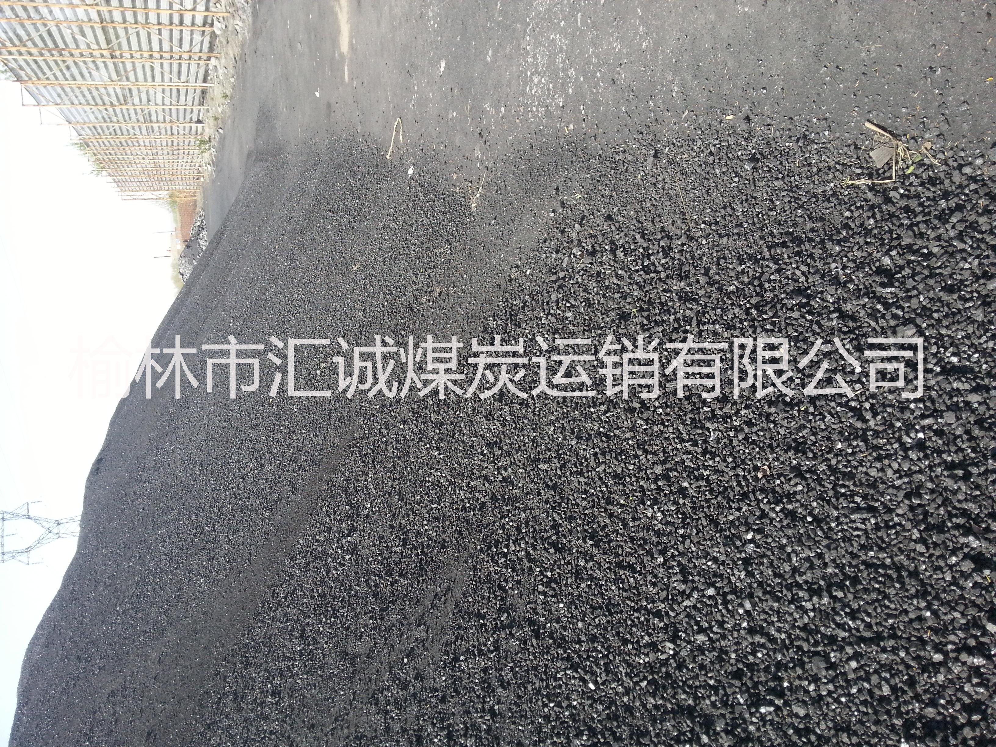 供应气化煤陕西榆林面煤批发图片