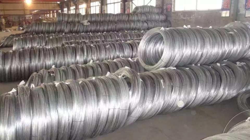 国标50/8钢芯铝绞线 专业钢芯铝绞线生产厂家
