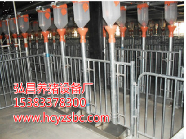 河北沧州销售现代化猪场全自动喂料设备保育床图片