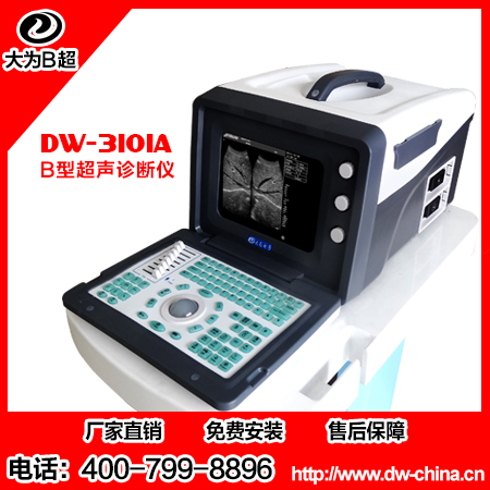 供应用于产科检查的黑白b超机DW-3101A，便携式b超机图片