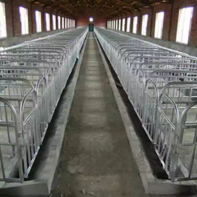 供应优质母猪产床 肥猪定位栏 仔猪保育床 精品加厚