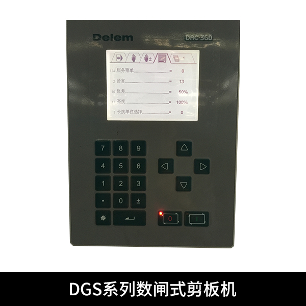 供应DGS系列数控闸式剪板机