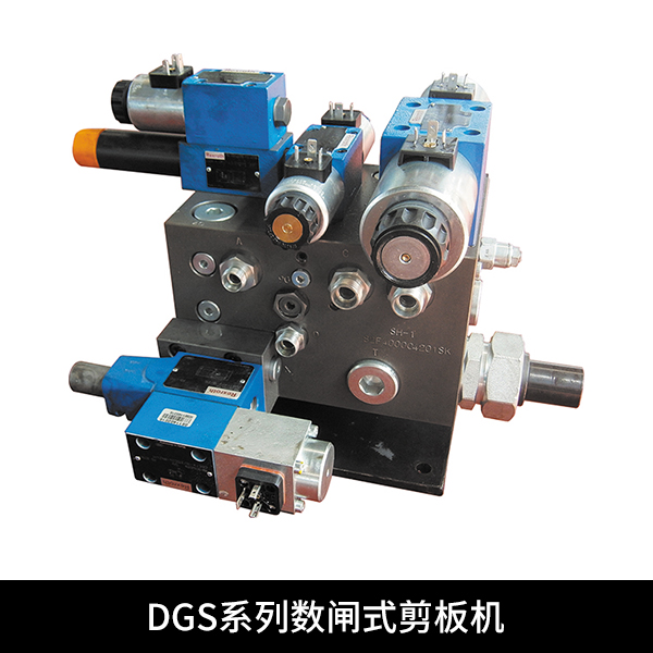 供应DGS系列数控闸式剪板机