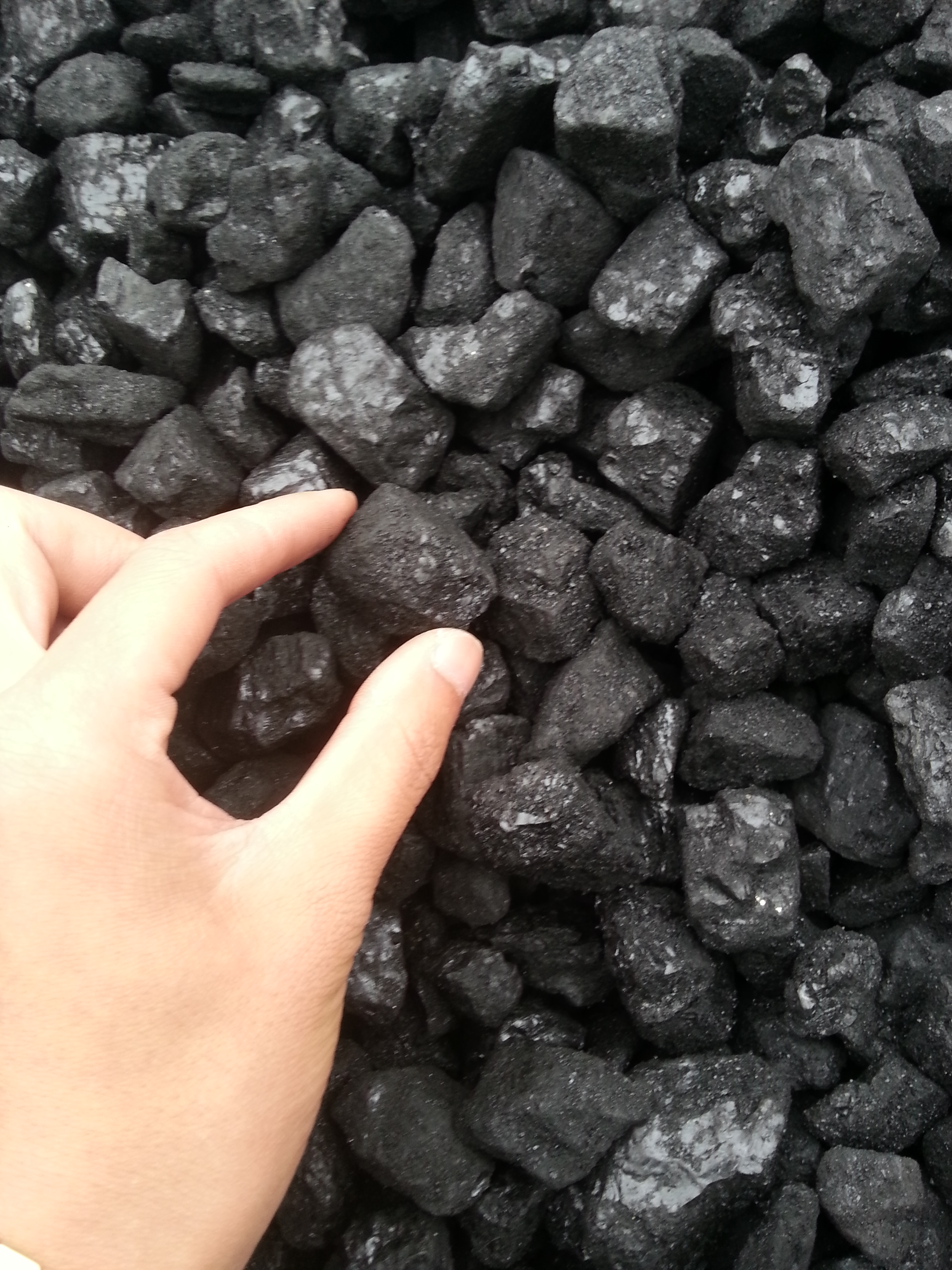 神木煤炭价格