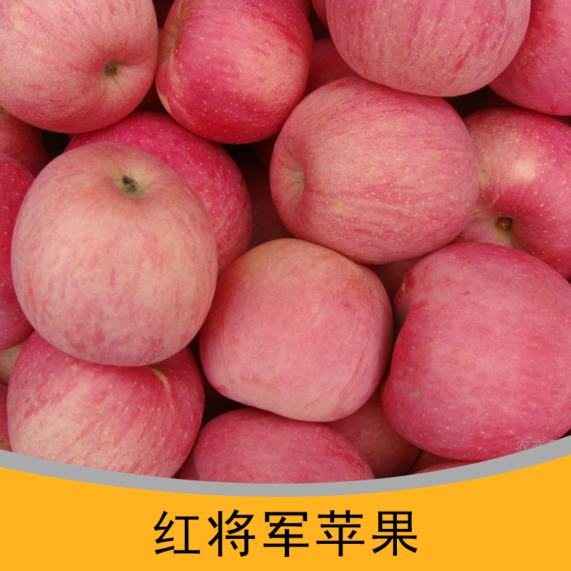 惠农水果合作社供应红将军苹果、早熟红富士原生态苹果|绿色无公害苹果