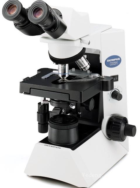 生物显微镜批发