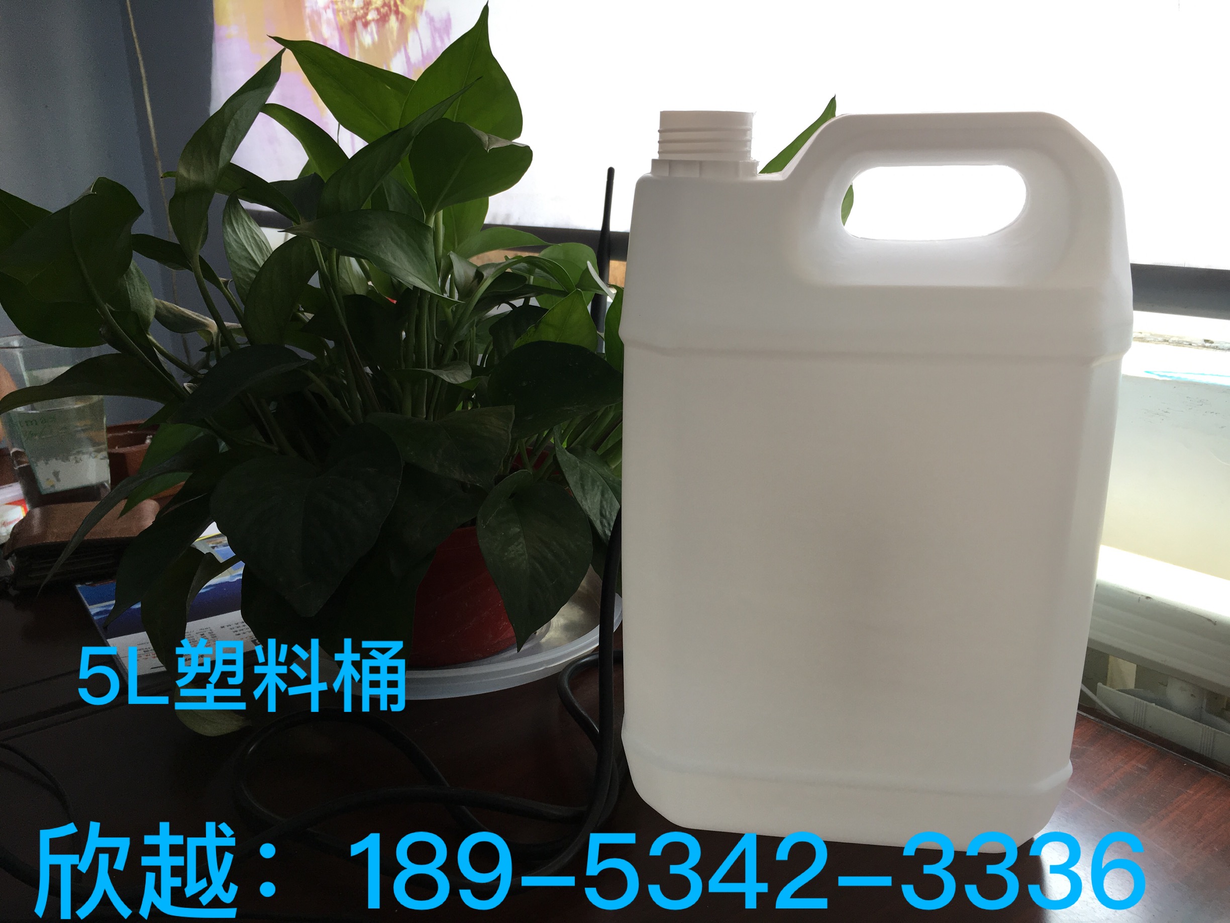 青岛5升塑料桶批发