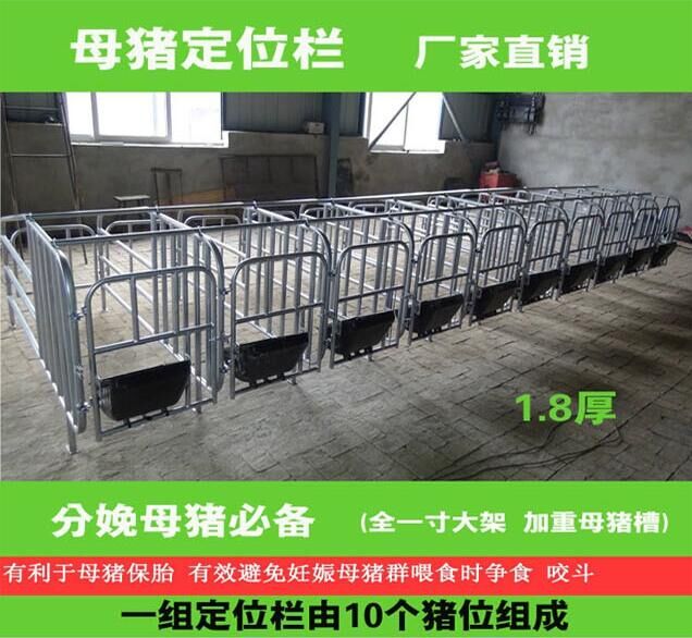 供应用于饲喂设备的母猪产床销售养殖设备养猪场图片