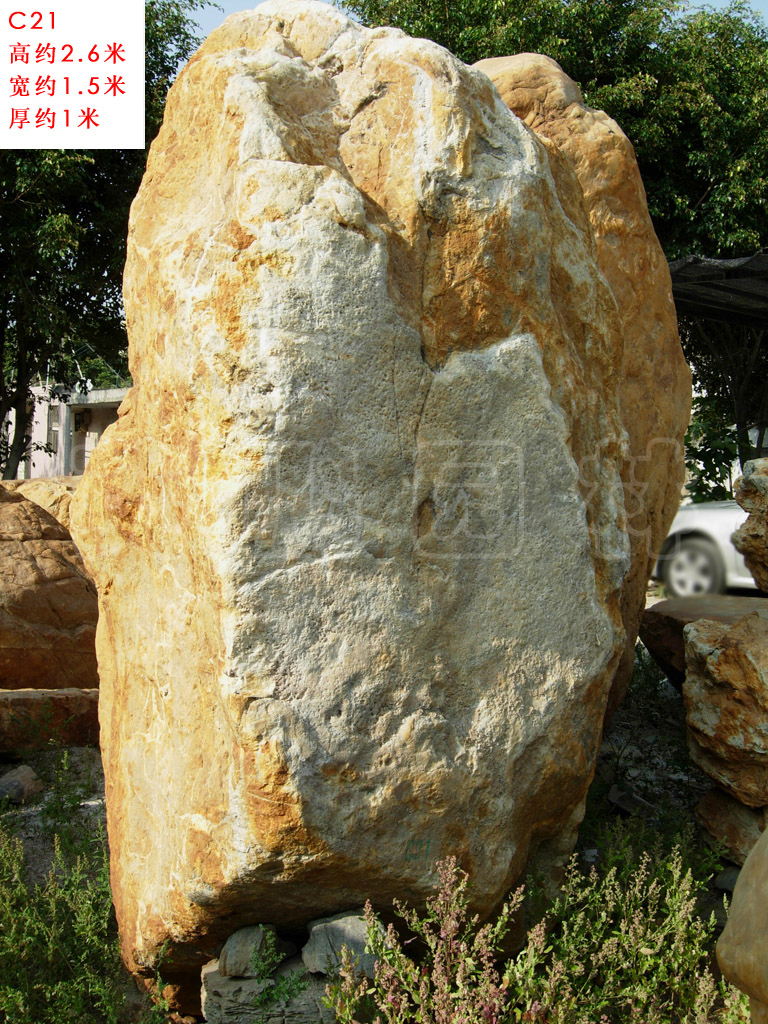 供应用于园林景观石的深圳北京小区景观大型黄腊石黄蜡石
