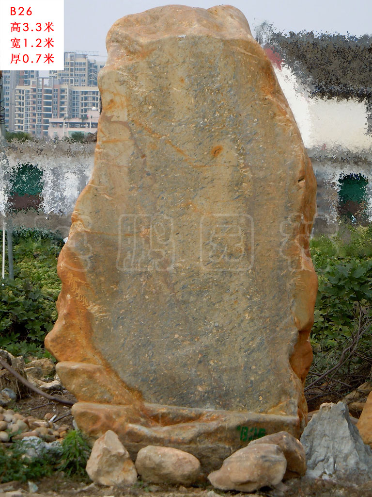 供应用于园林景观石的深圳江阴楼盘景观大型黄蜡石黄腊石