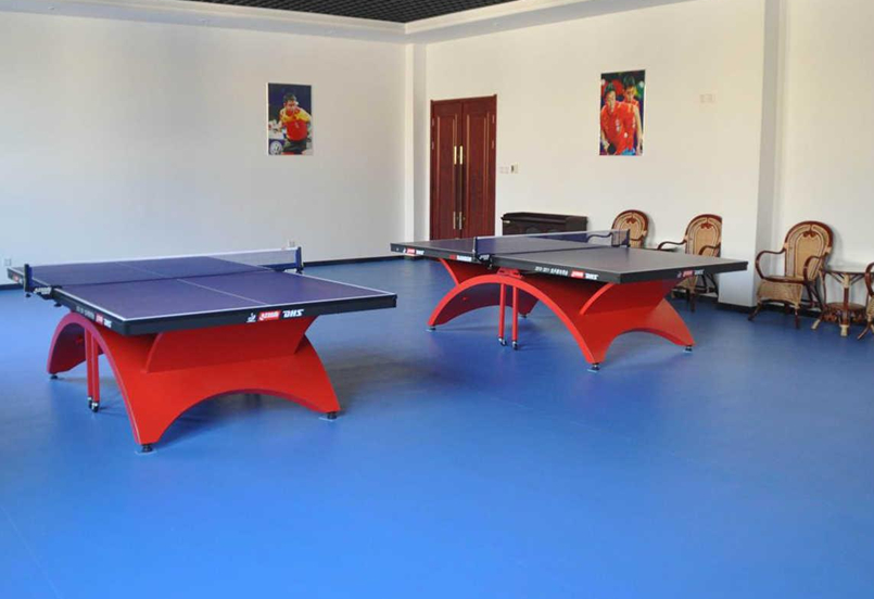 供应pvc地板乒乓球、pvc塑胶地板、PVC运动场馆地板胶