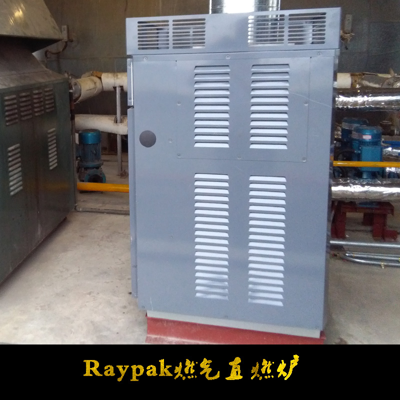 供应Raypak工业燃气直燃炉 Raypak天然气锅炉供应商