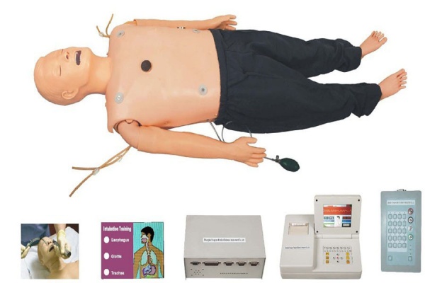 高等多功能急救训练模拟人-上海心肺复苏模型-哪里有心肺复苏模型厂家- 高等多功能急