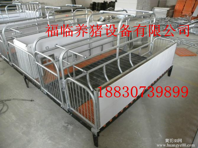 供应用于繁殖器具的专业定制母猪产床 产床尺寸 猪床
