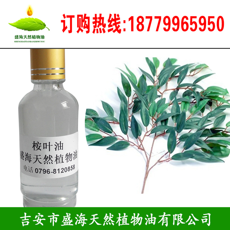 供应用于化妆品|保健品|医药的桉树油 蓝桉叶油桉树油天然植物香料油