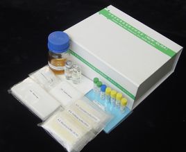 供应Arigo抗体/试剂盒图片