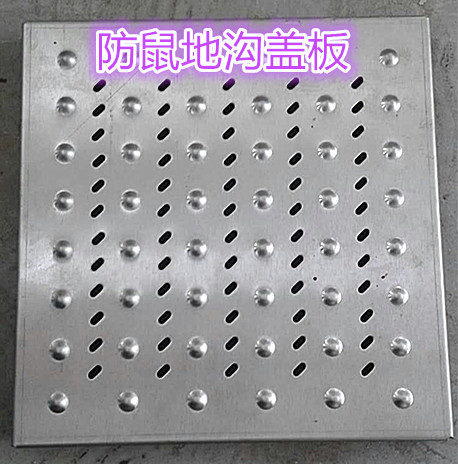 厂家直销广州厨房地沟盖板_学校不锈钢地沟盖板_防鼠水沟盖板