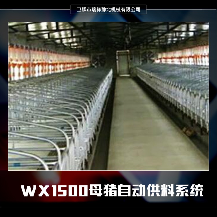 供应WX1500母猪自动供料系统 养猪自动供料系统 母猪育肥猪自动喂料系统 河南WX1500母猪自动供料系统