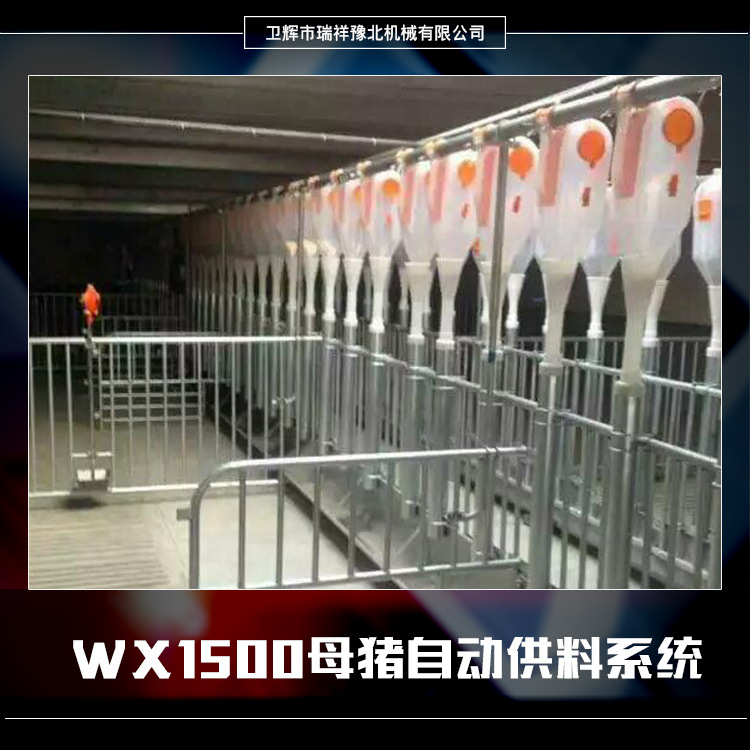 WX1500母猪自动供料系统批发