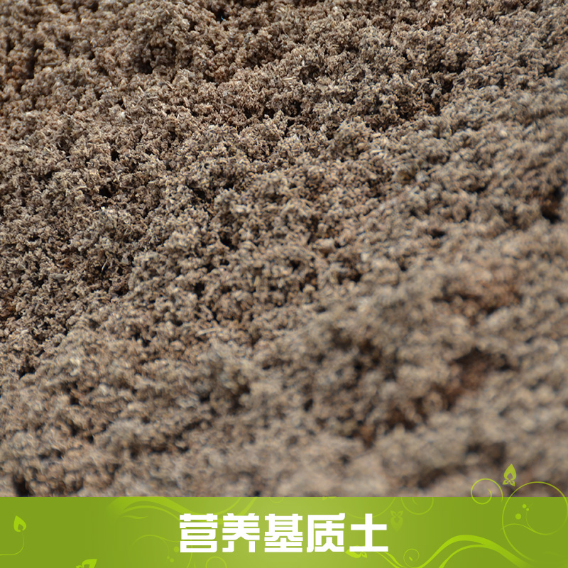 日照沃力生物科技供应营养基质土、有机基质种植土|育苗营养基质土图片