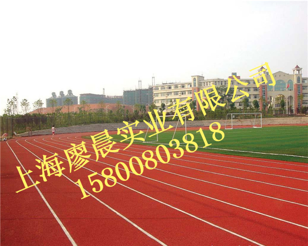 上海市金湖塑胶跑道施工材料报价厂家