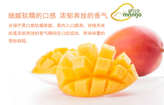 吉禄芒果，批发新鲜芒果以及其他新鲜水果支持一件代发。