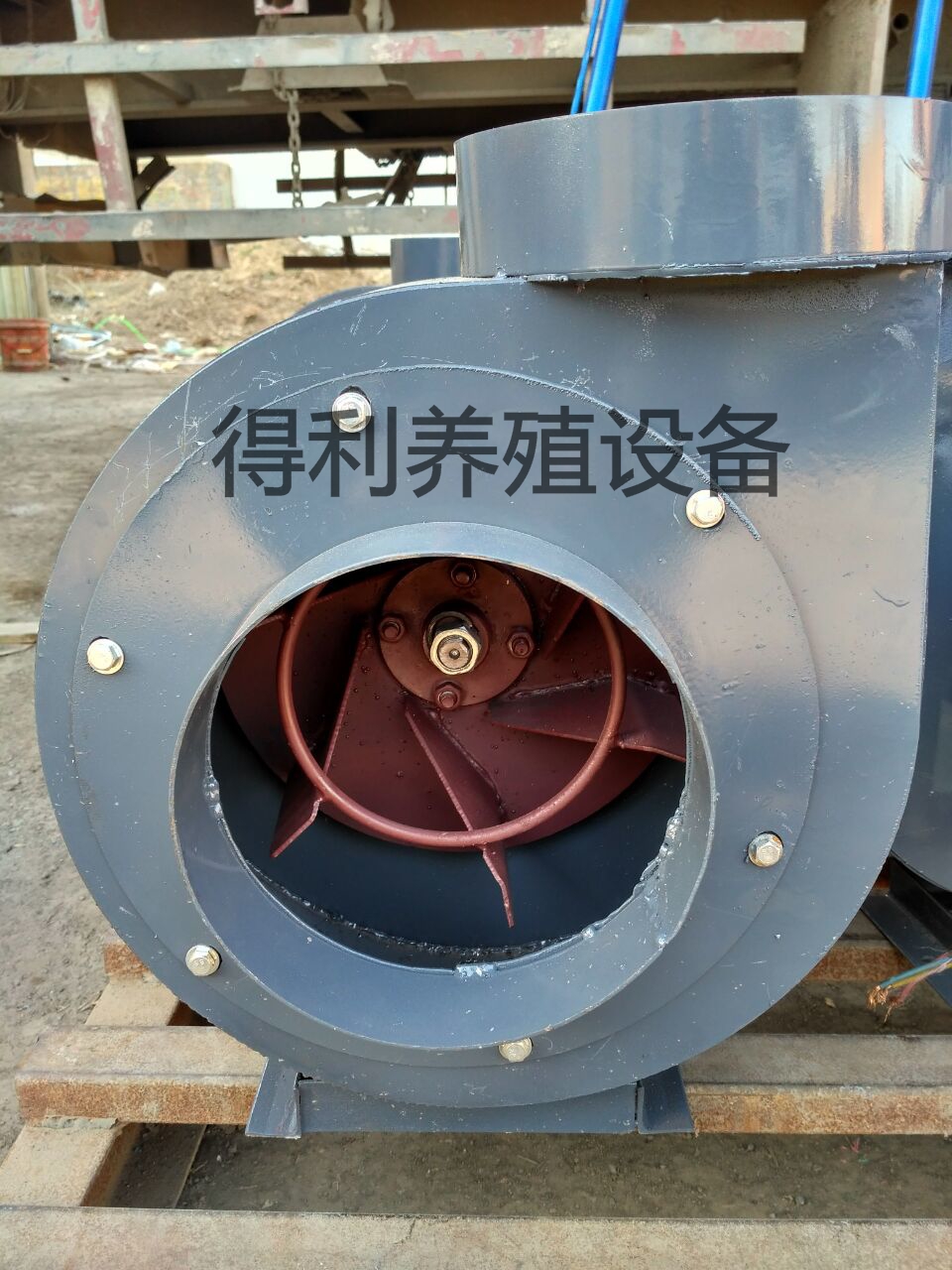 养殖水暖锅炉养殖专用加温自动温控设备养鸡舍供暖升温锅炉散热器设备图片