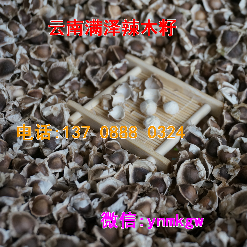 进口印度辣木籽介绍，加盟印度辣木籽批发代发，正宗印度辣木籽的功效与作用，印度辣木籽价格，印度辣木籽多少钱一斤