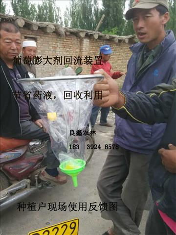 四川葡萄浸果器陕西猕猴桃膨果器视频电动环形喷头回流装置厂家
