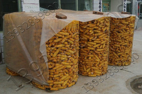 供应圈玉米钢丝网/圈苞米钢丝网
