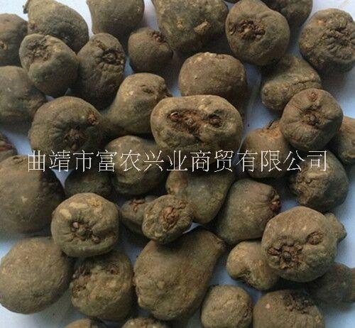 曲靖市贵州魔芋种子多少钱一吨厂家