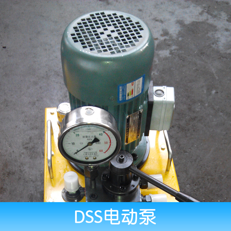 DSS电动泵 便捷式电动泵 液压电动泵 微型电动泵 超高压电动泵