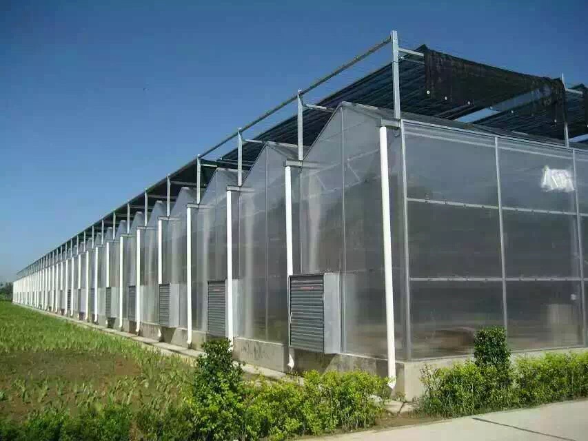 文洛型玻璃智能温室