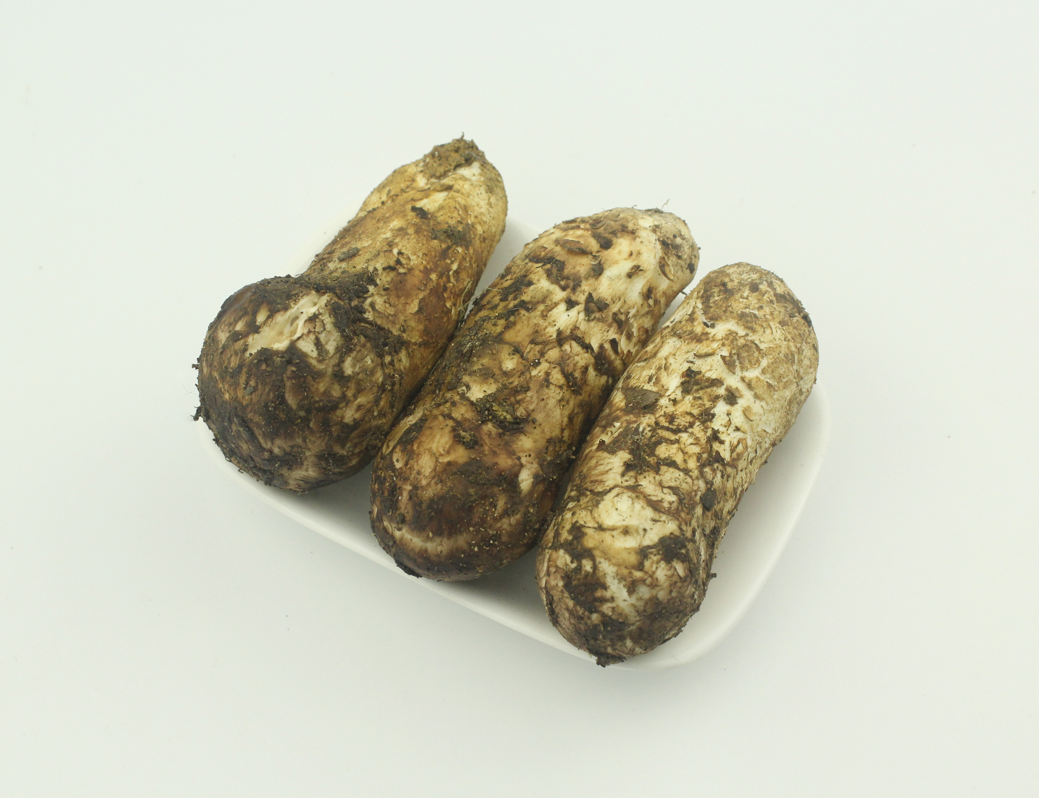香格里拉野生松茸产地批发2016年云南野生新鲜松茸香格里拉松茸7-10cm