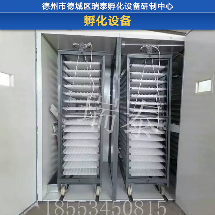 湖南中型孵化机厂家直销 湖南专业生产中型孵化机厂家，湖南孵化机厂