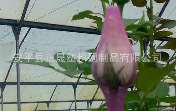 供应用于包装网的厂家批发玫瑰花包花网套月季花网图片