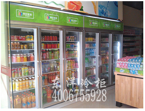 上海哪里有冷柜厂家冰箱冷柜厂展示柜浙江冷柜厂家哪个牌子好图片